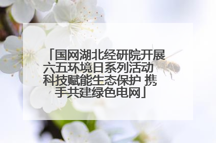 国网湖北经研院开展六五环境日系列活动 科技赋能生态保护 携手共建绿色电网